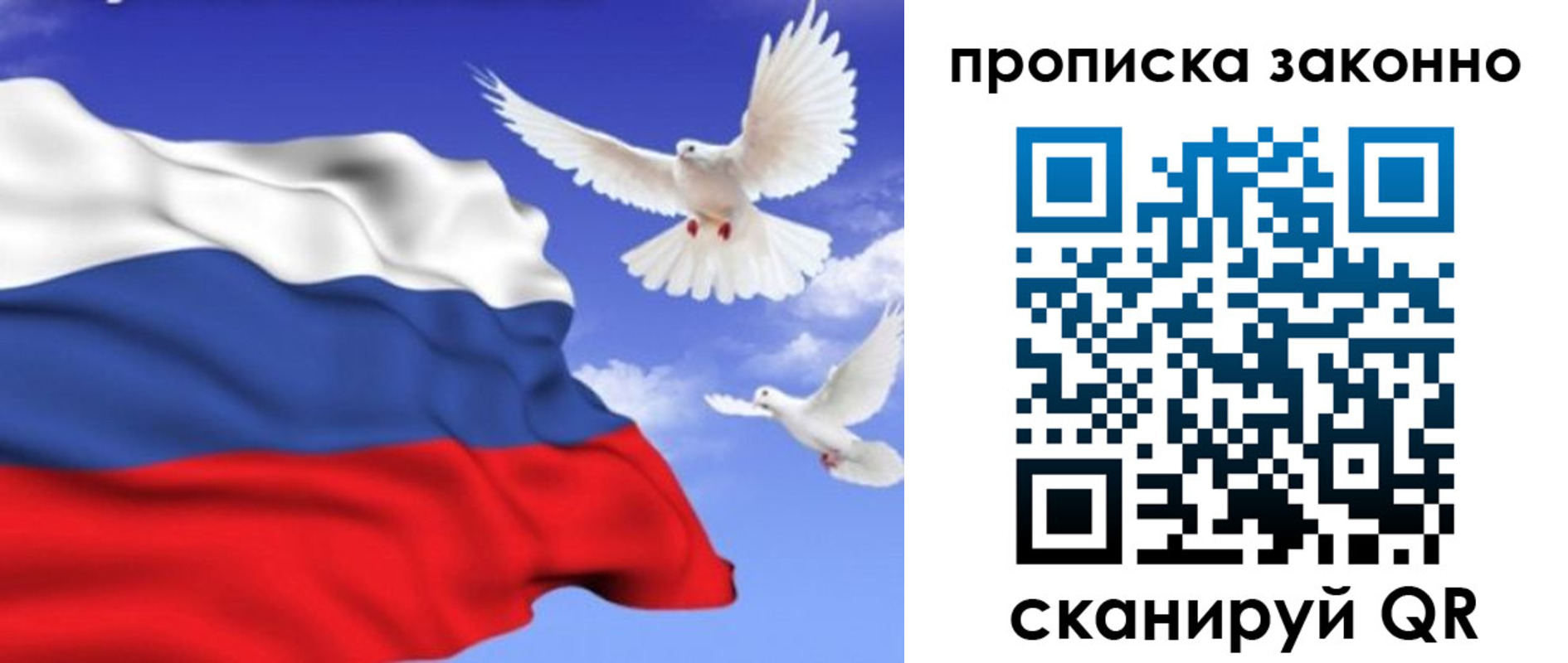 прописка в Королёве