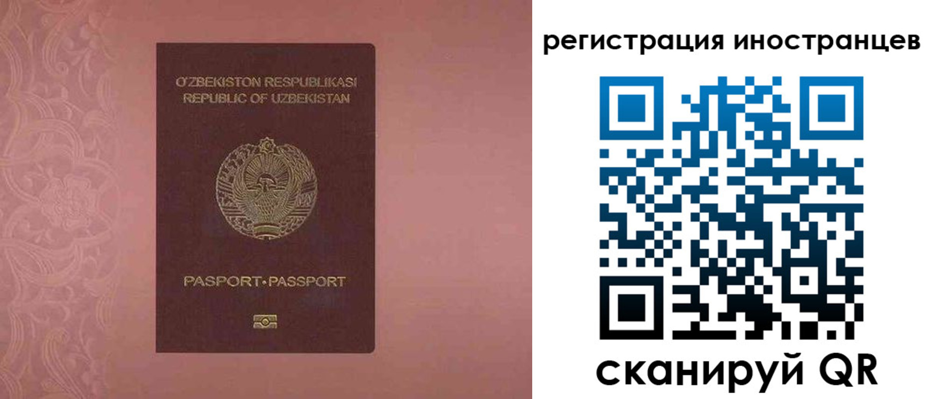 временная регистрация госуслуги в Королёве